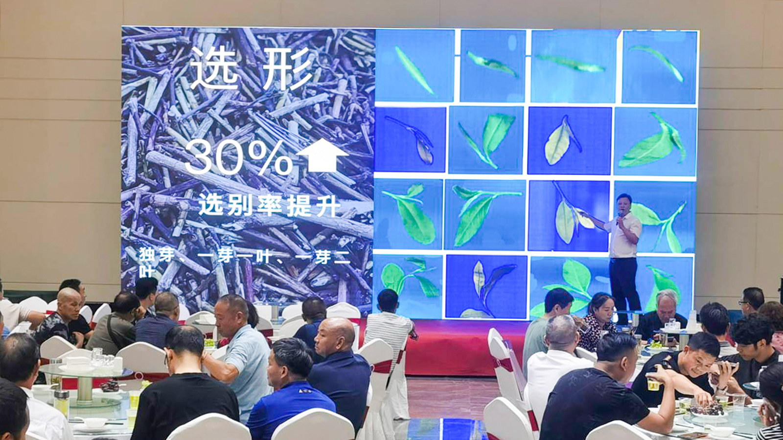 Starbo星宝(中国集团)官方网站