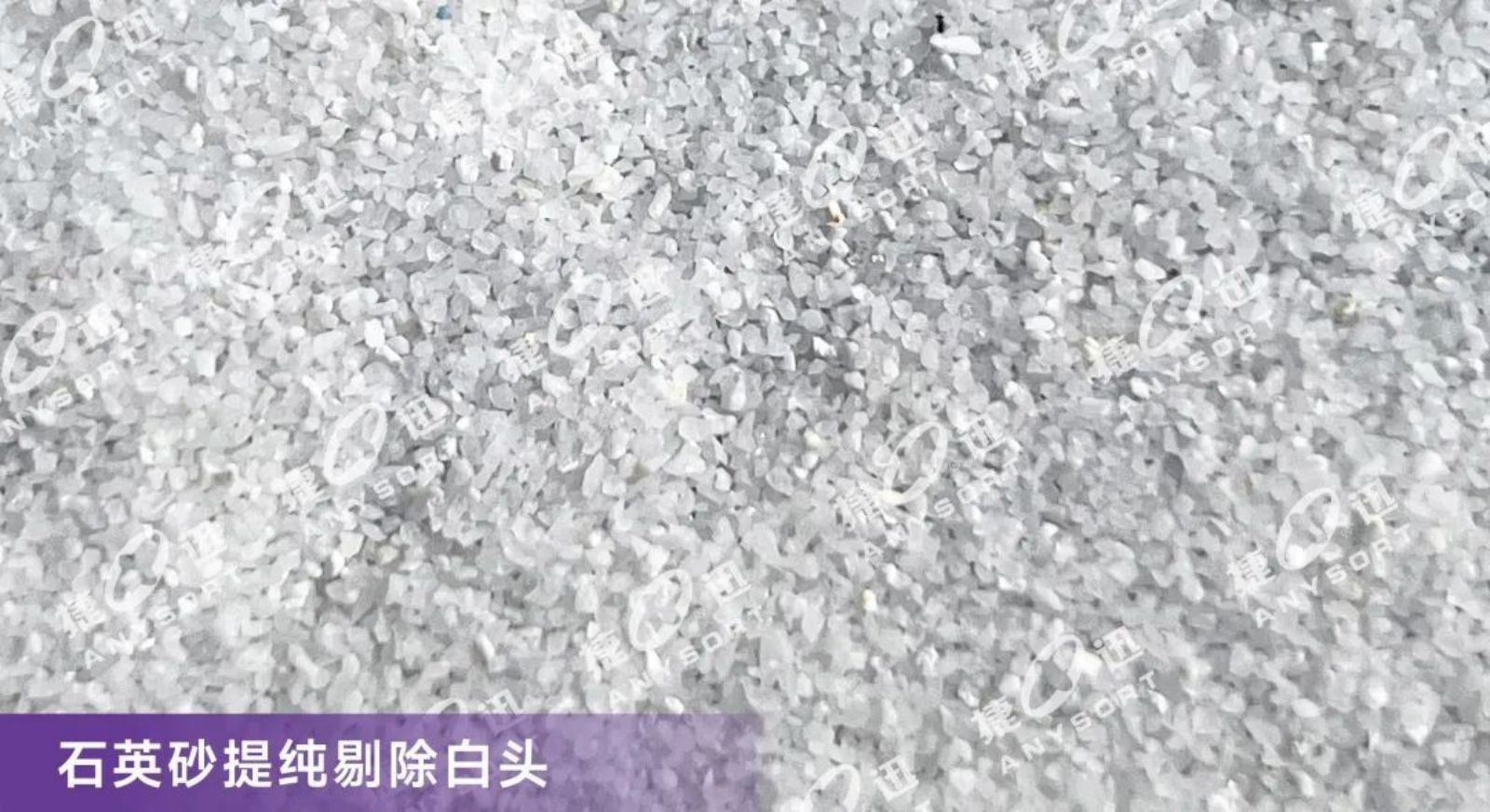 Starbo星宝(中国集团)官方网站