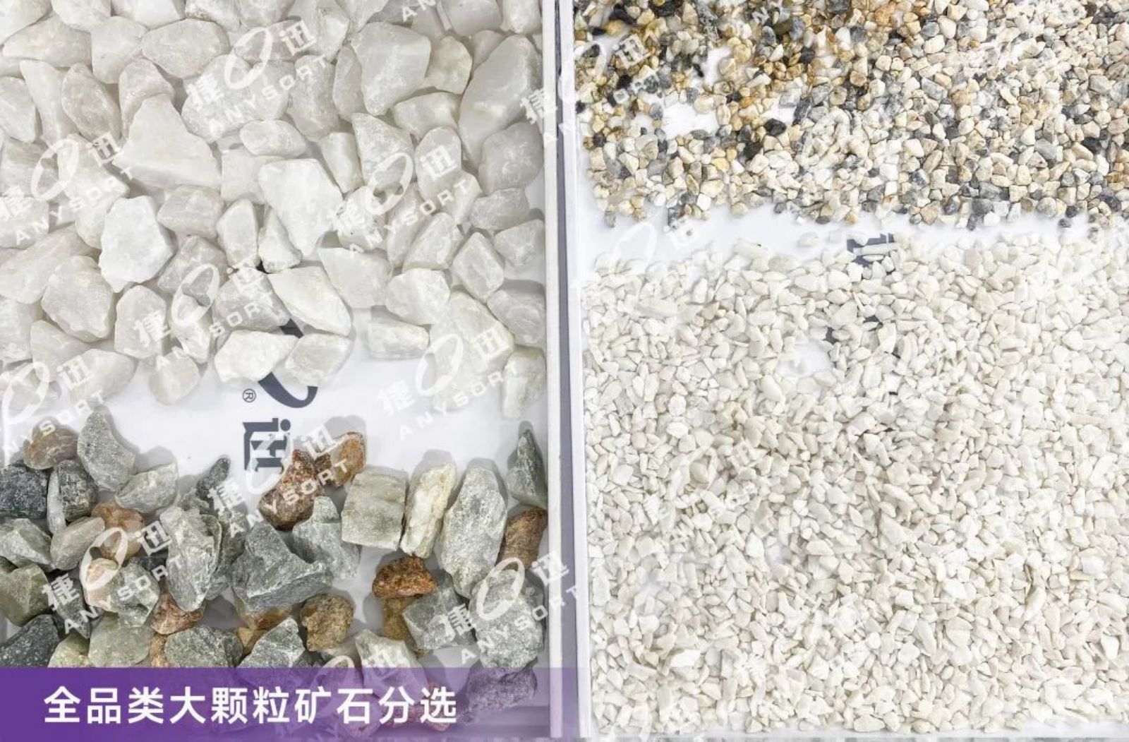Starbo星宝(中国集团)官方网站