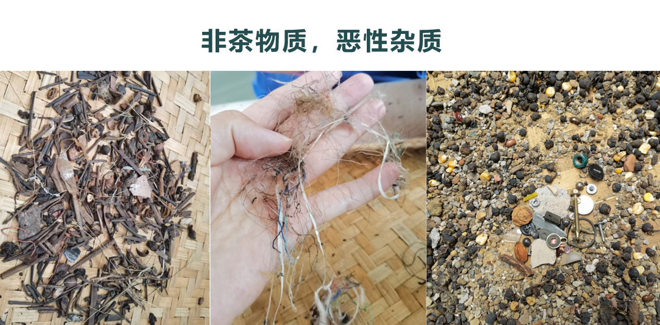 Starbo星宝(中国集团)官方网站