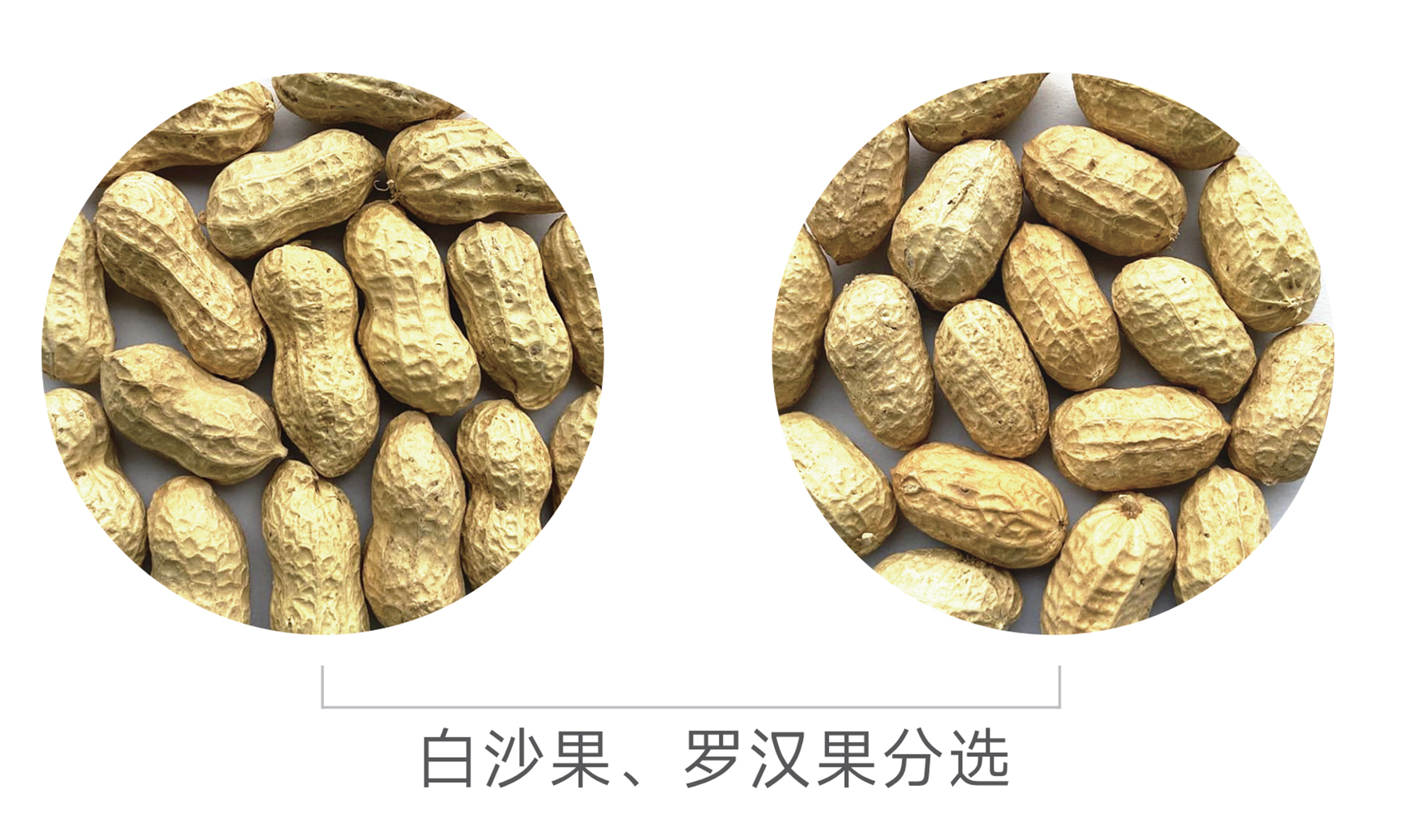 Starbo星宝(中国集团)官方网站